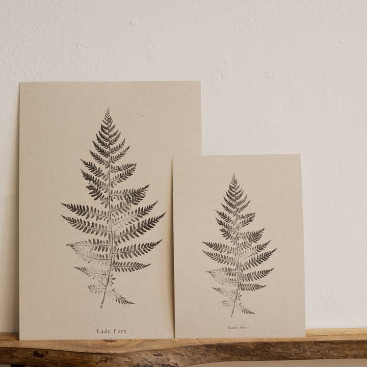 Alicia Breakspear - Wholesale Art Print - Fern Print - Botanical Art Print A5 A4 A3 Lady Fern 3
