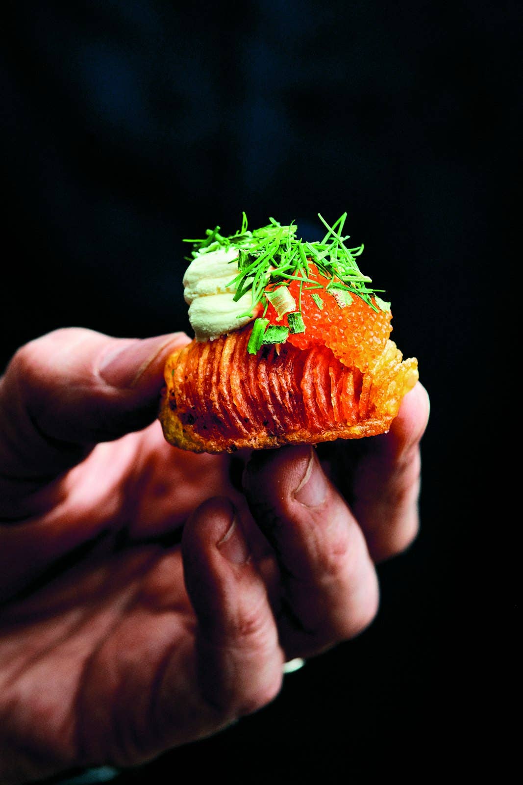 gestalten & teNeues - Wholesale Cookbooks & Food - Potato Total10