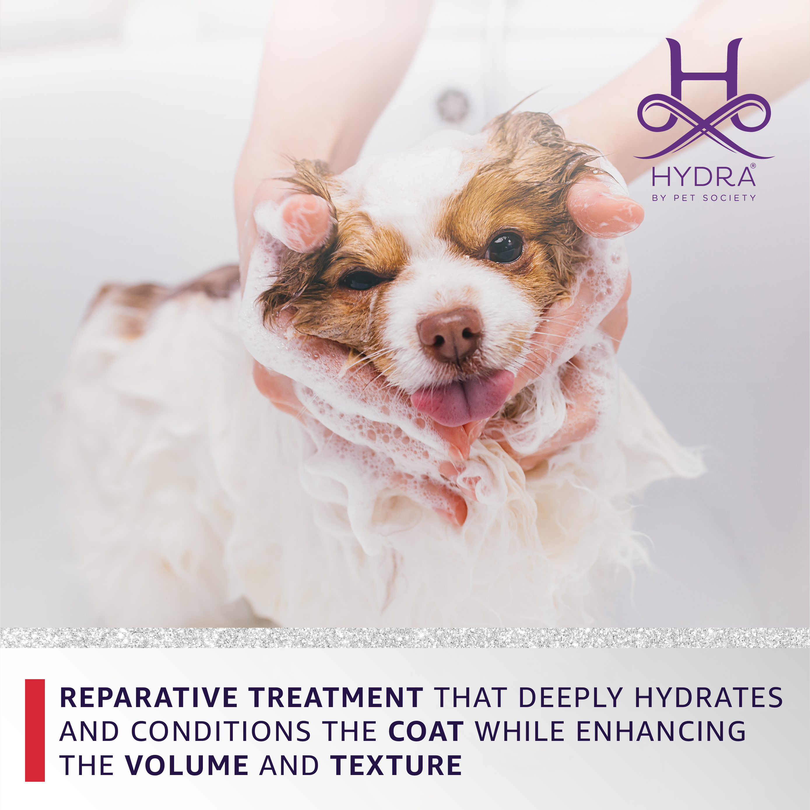 Hydra by Pet Society - Wholesale Pet Grooming Aid - Dog - Hydra Professional Intense Repair Volumizing Mask5