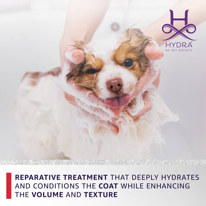 Hydra by Pet Society - Wholesale Pet Grooming Aid - Dog - Hydra Professional Intense Repair Volumizing Mask5