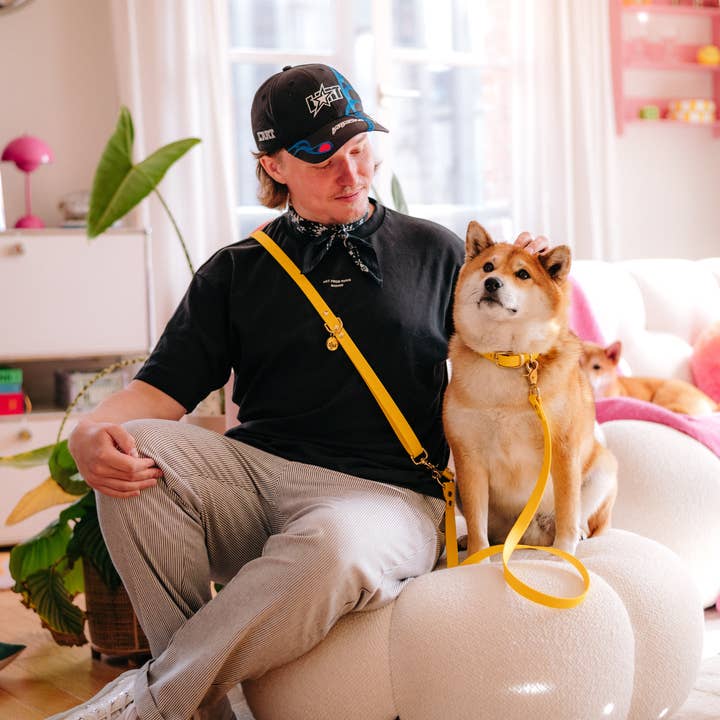 Oscar & co - Wholesale Pet Collar - Dog - Yellow waterproof Biothane dog collar3