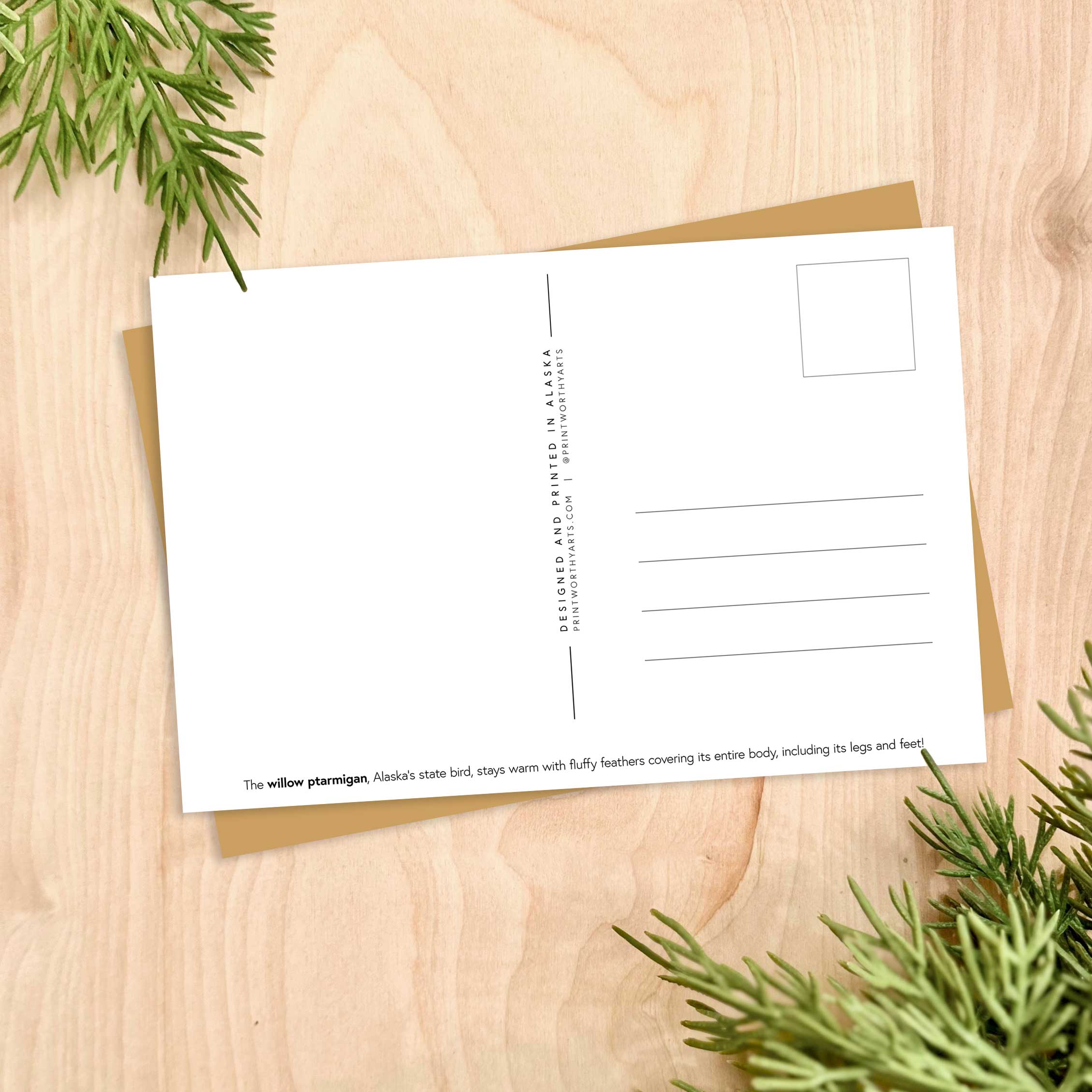 Printworthy - Wholesale Postcard - Little Ptarmigan Postcard1