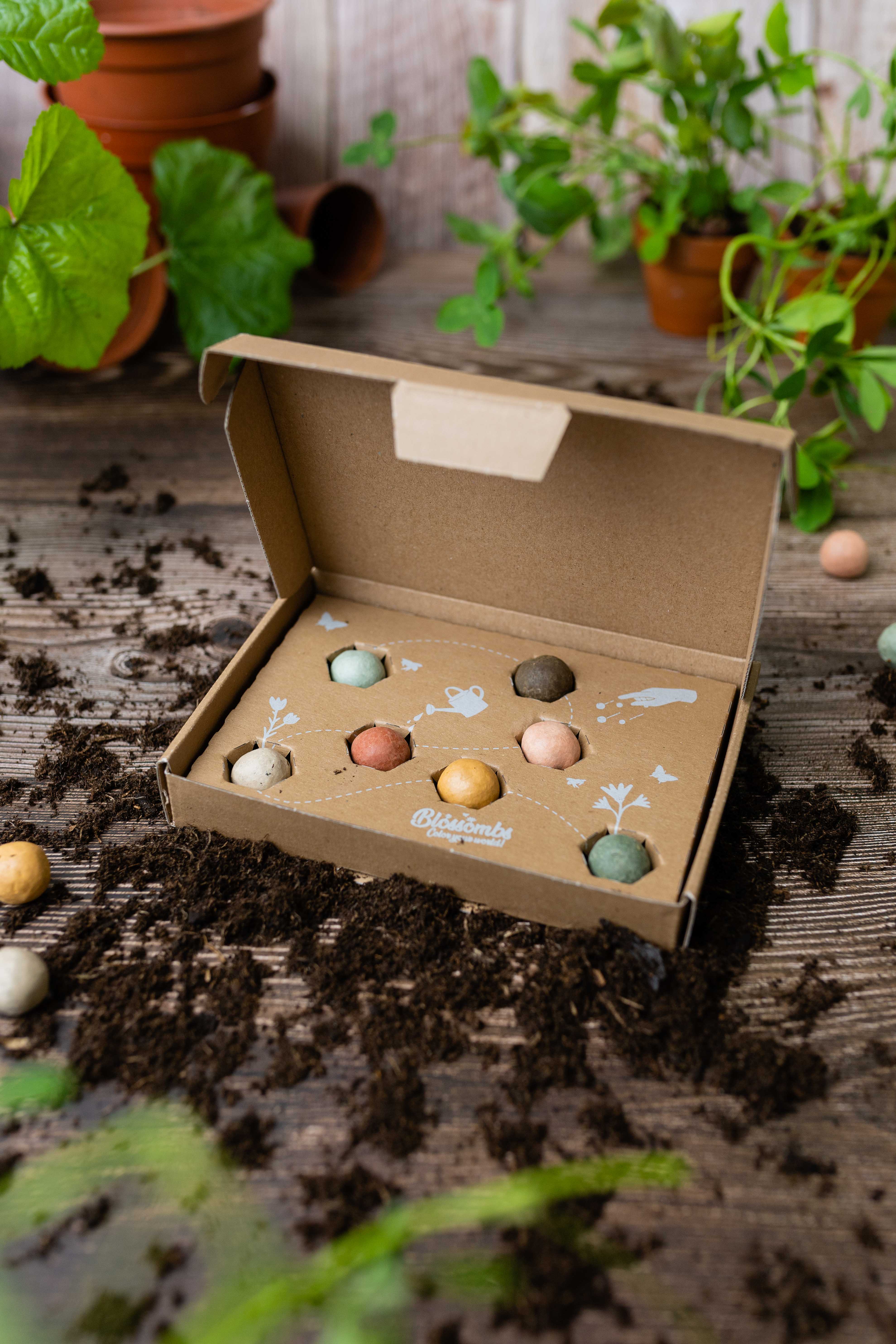 Blossombs - Wholesale Plant Seeds - Organic Gift Box "Dear Teacher" with 7 Blossombs Seed Bombs2