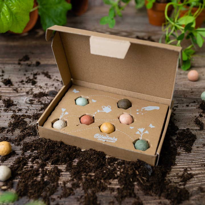 Blossombs - Wholesale Plant Seeds - Organic Gift Box "Dear Teacher" with 7 Blossombs Seed Bombs2