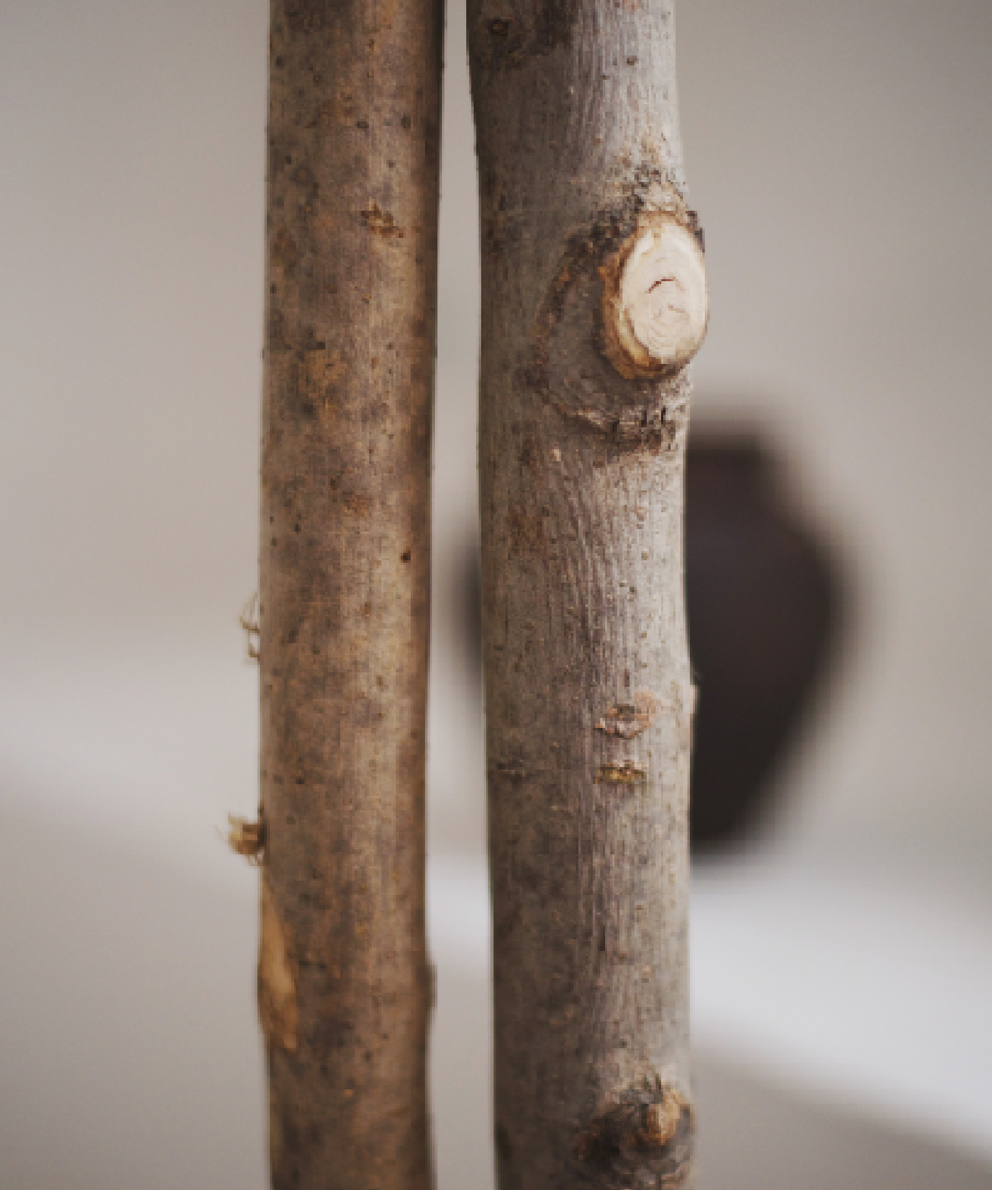 Maia Shop - Vente Plantes artificielles - Eucalyptus Artificiel 180 cm3