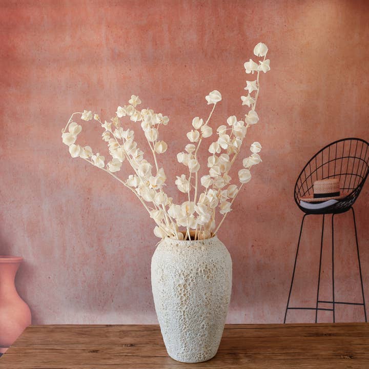 Bougainvillea, Cream White, Preserved, up to 50cm for wholesale by Floral Fields