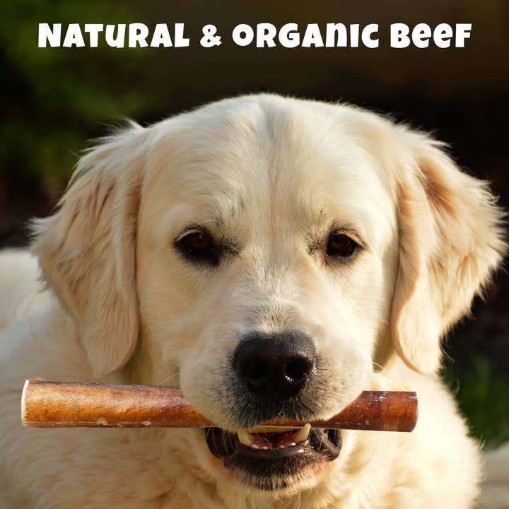 Okiniiri - Wholesale Pet Treats - Dog - OKINIIRI Bully Sticks, 6 inch, 200 Count Box (25-35 g Each)4