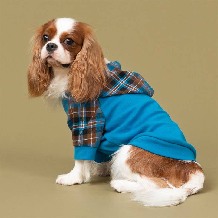 Fitwarm - Wholesale Pet Hoodie - Dog - Tartan Plaid Hoodie11