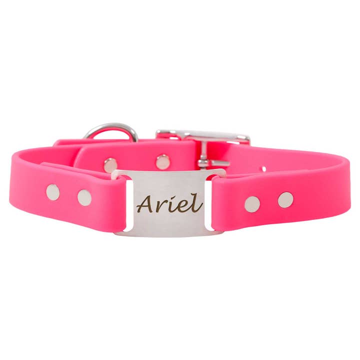 dogIDs - Wholesale Pet collar – Dog - Personalized Waterproof ScruffTag Collar36