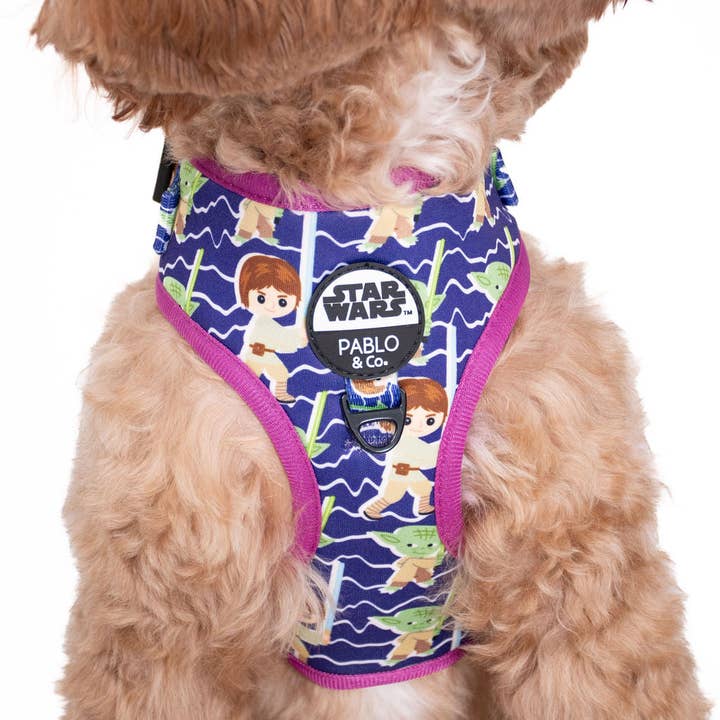 Luke Skywalker & Yoda : harnais ajustable pour la vente par Pablo & Co. Boutique
