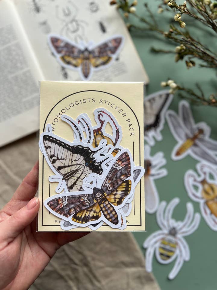 Entomologists Sticker Pack, 6 Vinyl Insect Stickers for wholesale by Tansy Moore