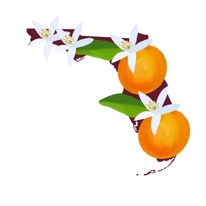 Handmade By Myles - Wholesale Sticker - Florida Orange Blossom Vinyl Sticker1
