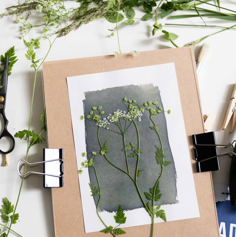 The Wild Darkroom – wholesale DIY craft kit – Cyanotype Printing Paper - A55
