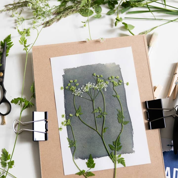 The Wild Darkroom – wholesale DIY craft kit – Cyanotype Printing Paper - A55