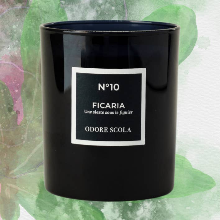 FICARIA SCENTED CANDLE and other Purchase Wholesale diari scolastici. Free Returns & Net 60 Terms on Faire trending on Faire.