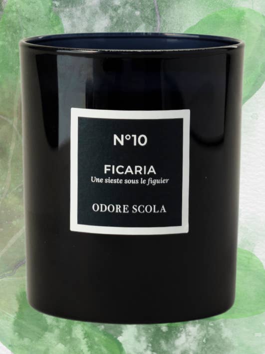 FICARIA SCENTED CANDLE for wholesale by Odore Scola