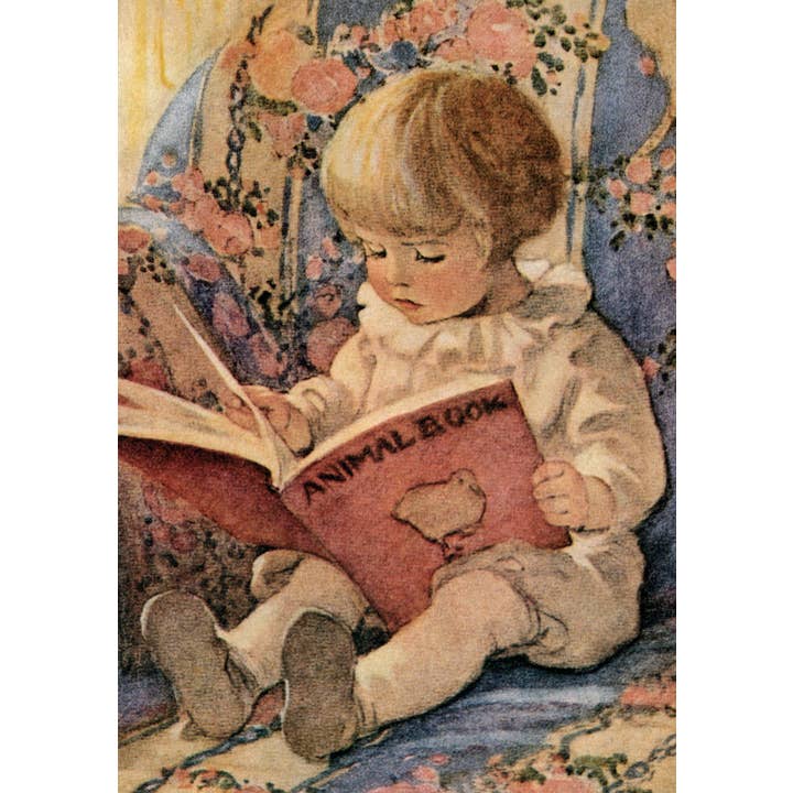 Vykort The Animal Book (081266) för wholesale av Works on Paper by Catch Publishing