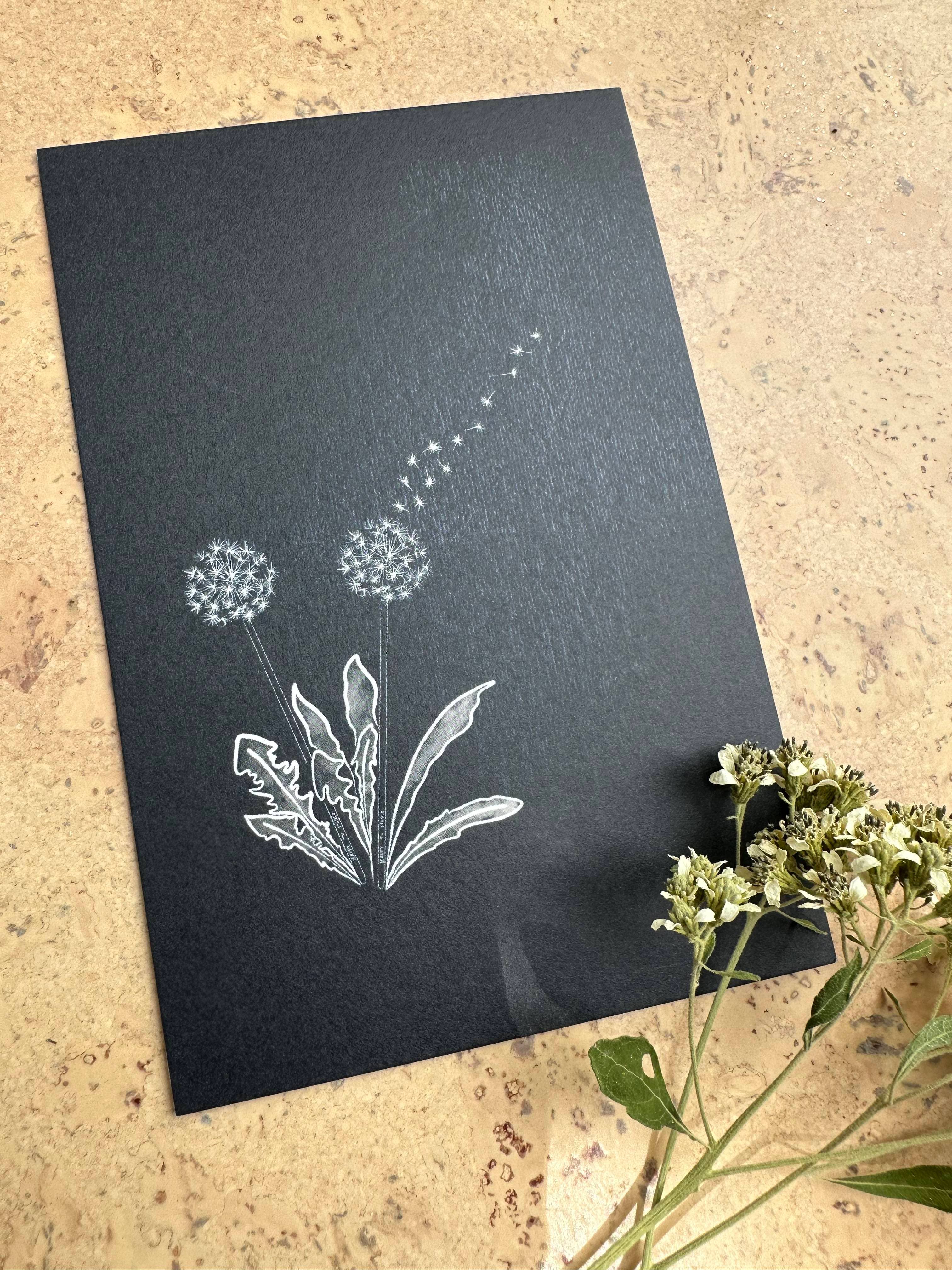 AVIVA TU LLC - Wholesale Stationery/Notecard Set - Notecards-Botanical Music Instruments13