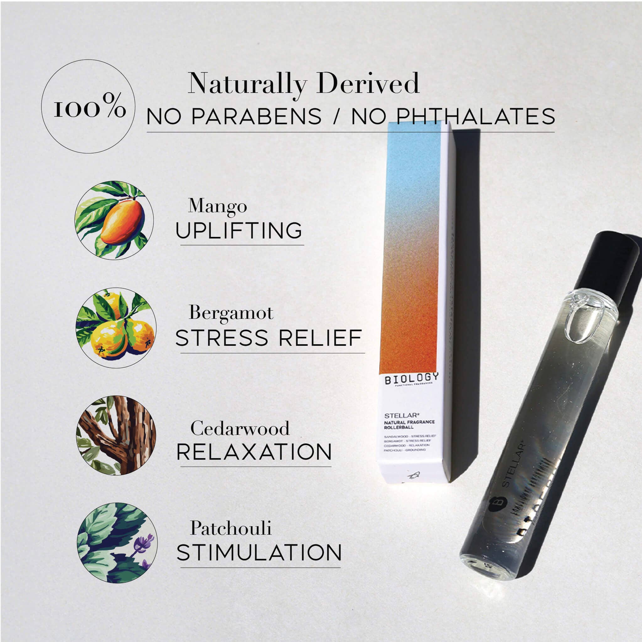 Biology Functional Fragrances - Wholesale Roll-On Fragrance - STELLAR* – Mango, Bergamot & Patchouli | Natural Fragrance Oil1