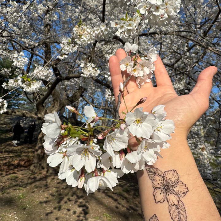 NatureTats - Wholesale Temporary Tattoo - Cherry Flower Temporary Tattoo