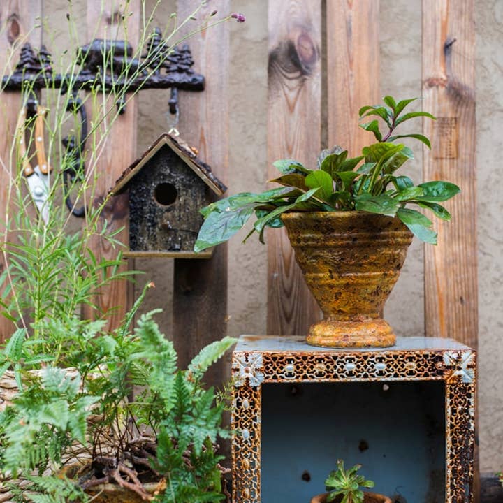 Rustic Reach - Wholesale Bird House - Birch Wood Decorative Bird House4