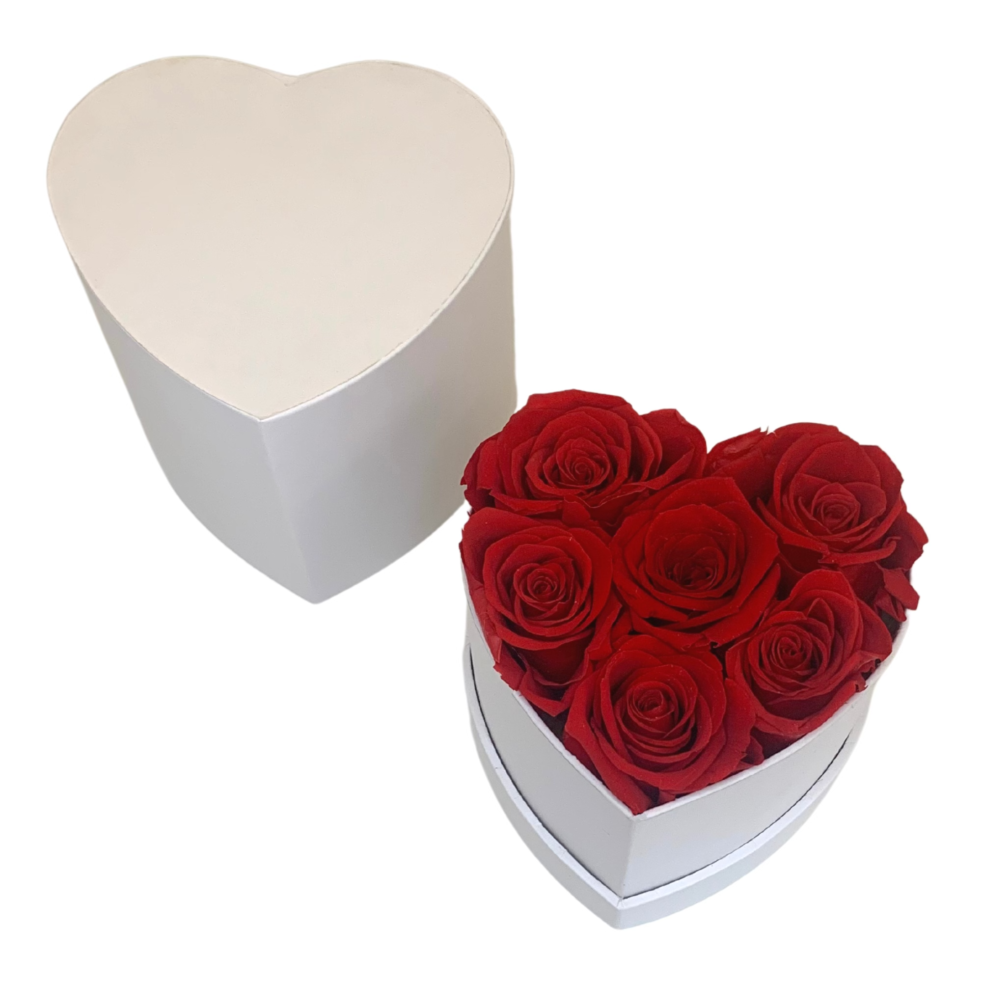 verona home and gift - Wholesale Dried/Pressed Flowers - Real Preserved Roses that Last Forever 9