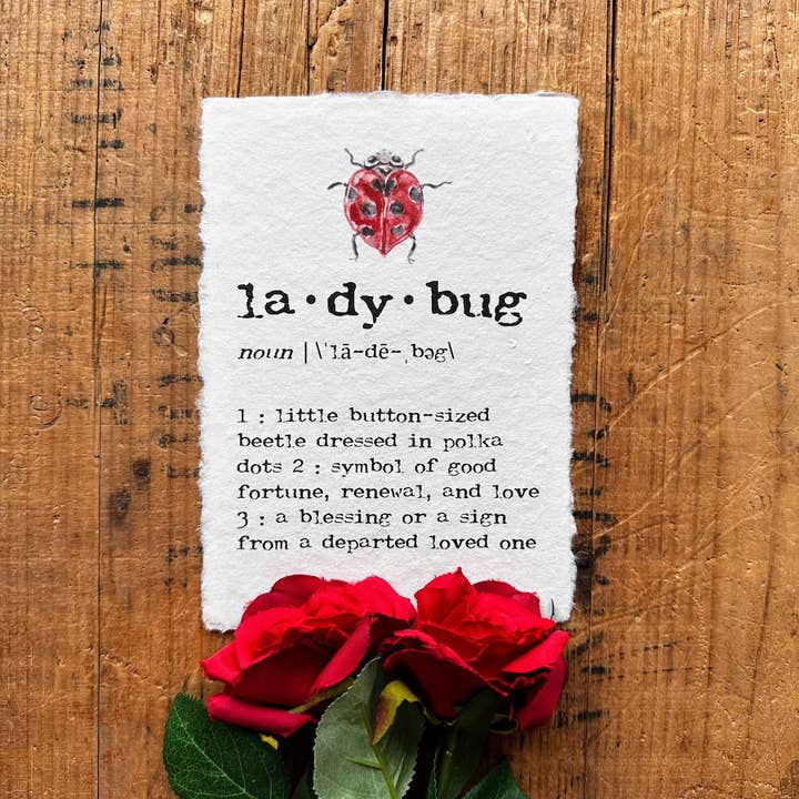 Alison Rose Vintage - Wholesale Art Print - ladybug definition print in typewriter font on handmade paper1