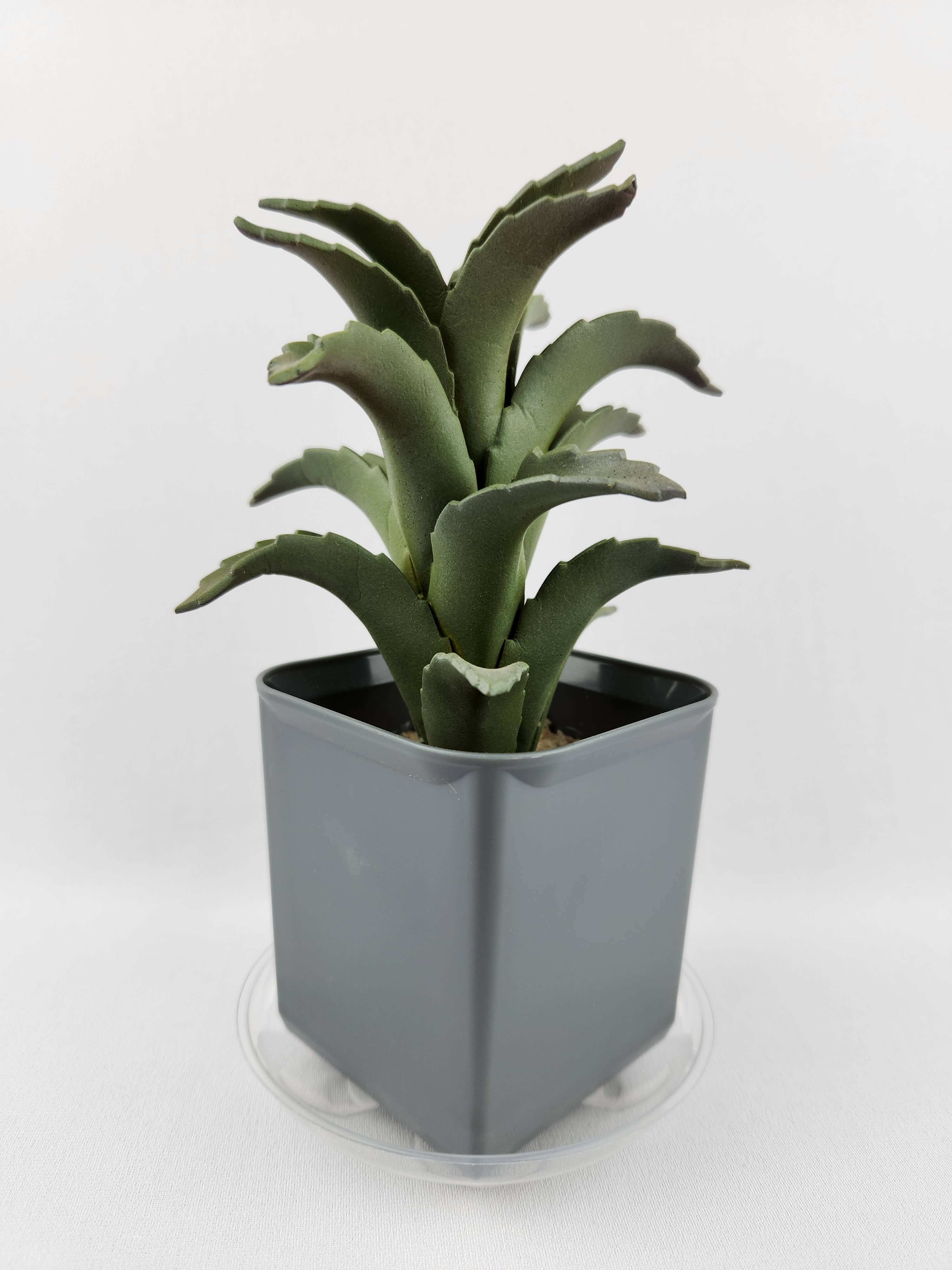 Plastec Products - Wholesale Saucer - Mini Saucer 4"2