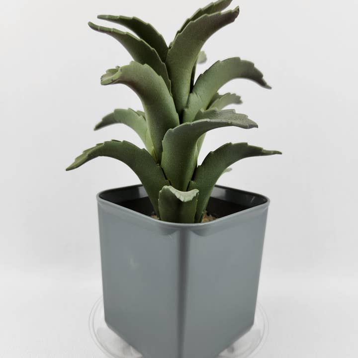 Plastec Products - Wholesale Saucer - Mini Saucer 4"2