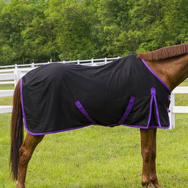 TuffRider Kozy Komfort Stable Sheet for wholesale by JPC Equestrian