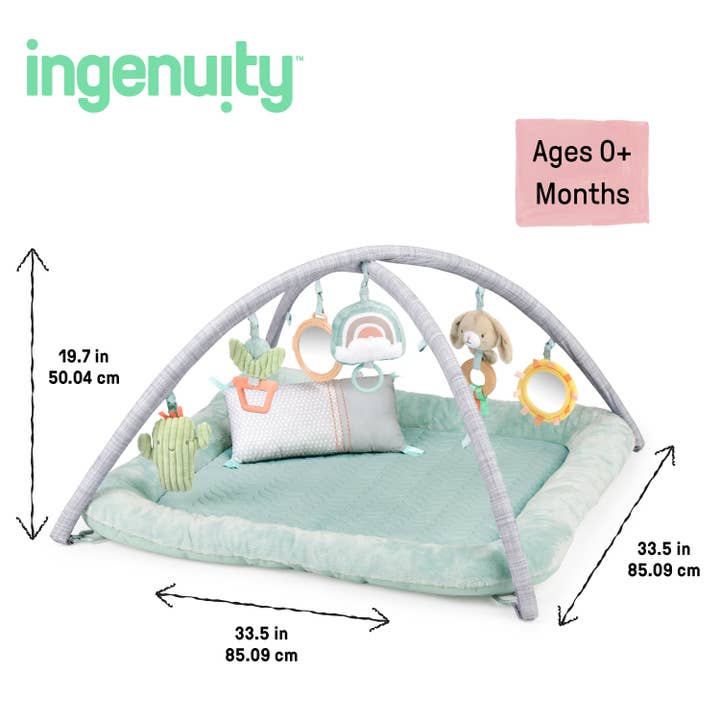 Ingenuity - Wholesale Play Mat - Kids & Baby - Ingenuity Plush Activity Gym Chic Boutique2