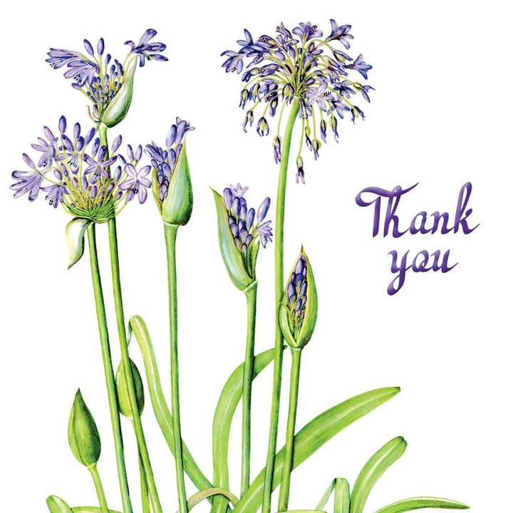 Thank You Greeting card - Blue agapanthus Flower for wholesale by Zaquarella