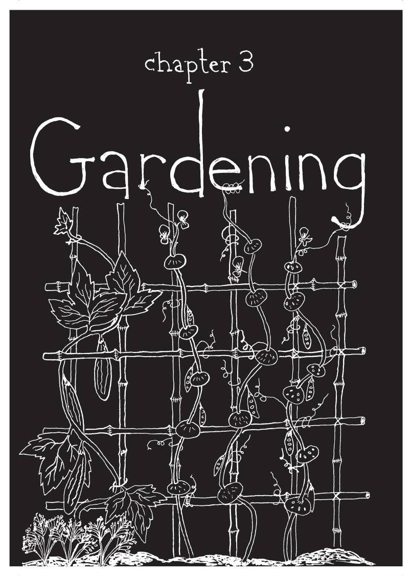 Microcosm Publishing & Distribution – Großhandel Haus & Garten – Ihr gemütliches Leben: DIY-Nestfähigkeiten für ein nachhaltiges Zuhause4