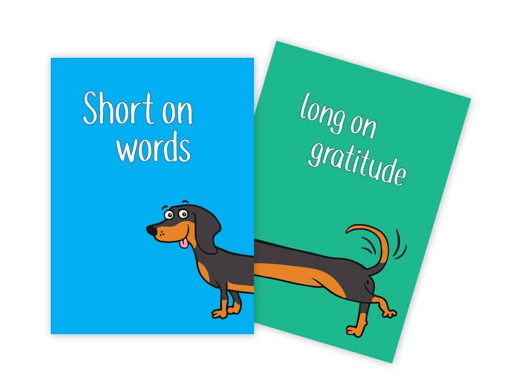 Sun Day Greetings – Engroshandel Takkekort – Gravhund Sjovt Takkort0