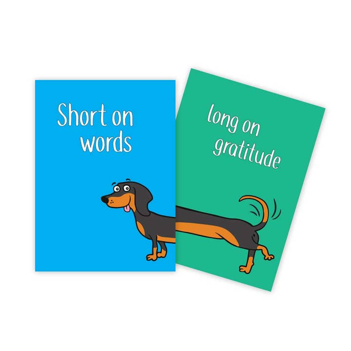 Sun Day Greetings – Engroshandel Takkekort – Gravhund Sjovt Takkort