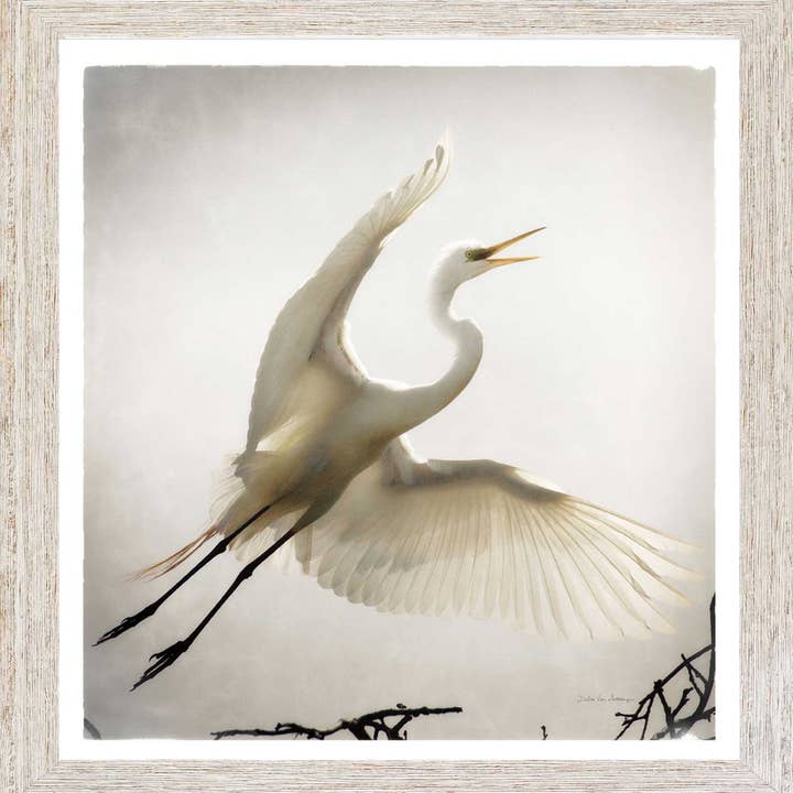 17580 for wholesale by Coastline Art