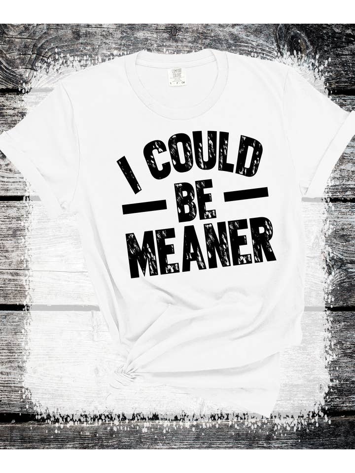 A Blessed Texas Mess Boutique - Wholesale Graphic Sweatshirt - Women's - Comfort Colors® I Could Be Meaner Shirt Funny Humor sarcasm6