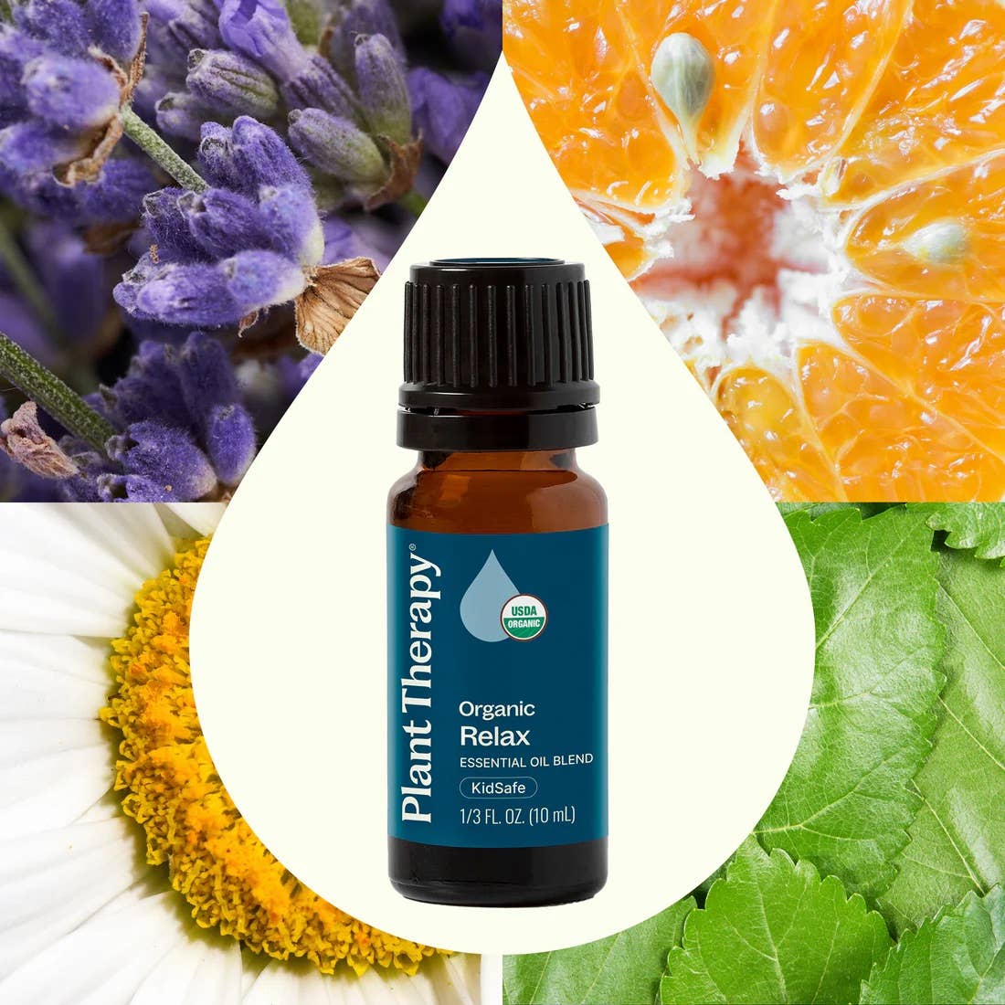 Plant Therapy - Wholesale Essential Oil - Organic Relax Essential Oil Blend 10 mL1