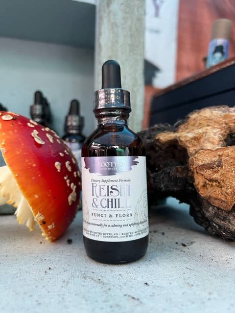 Rooted Apothecary - Wholesale Tincture - Reishi & Chill Mushroom Tincture