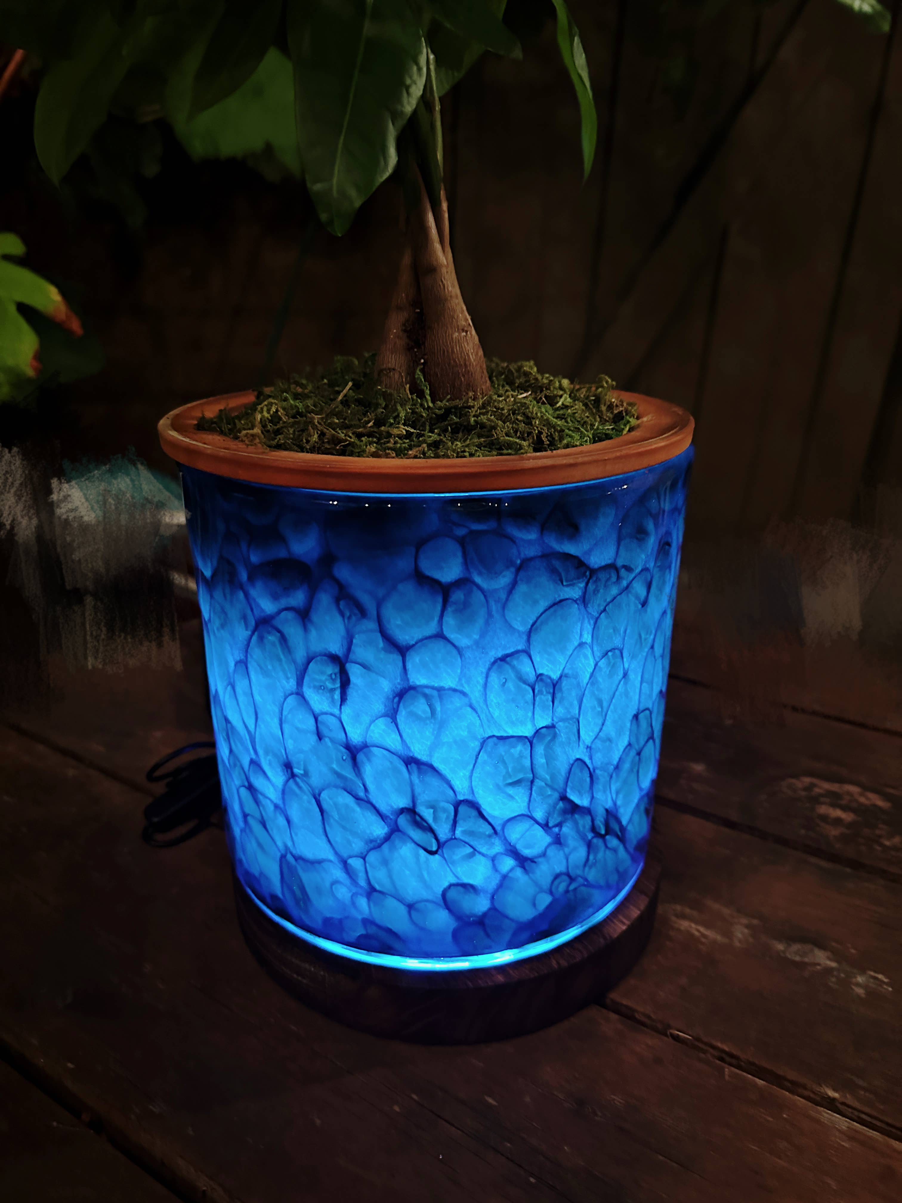 ApricotMint - Wholesale Plant Pot - 8" Art Glass LED Self Watering Planter (USB Plug-in)7