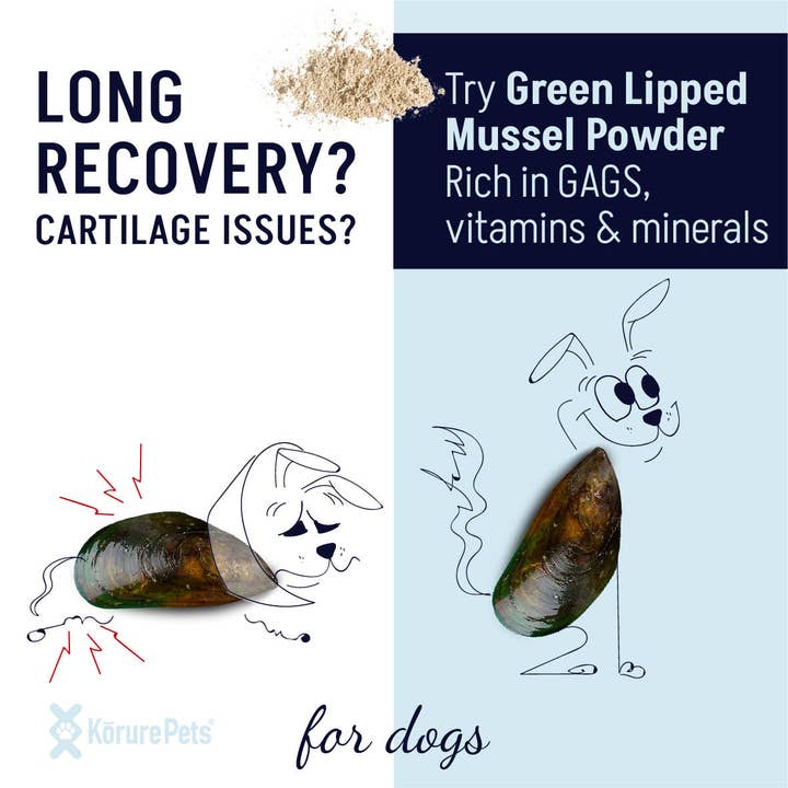Kōrure Pets - Wholesale Pet supplement – Dog - Dog NZ Green Lipped Mussel Powder