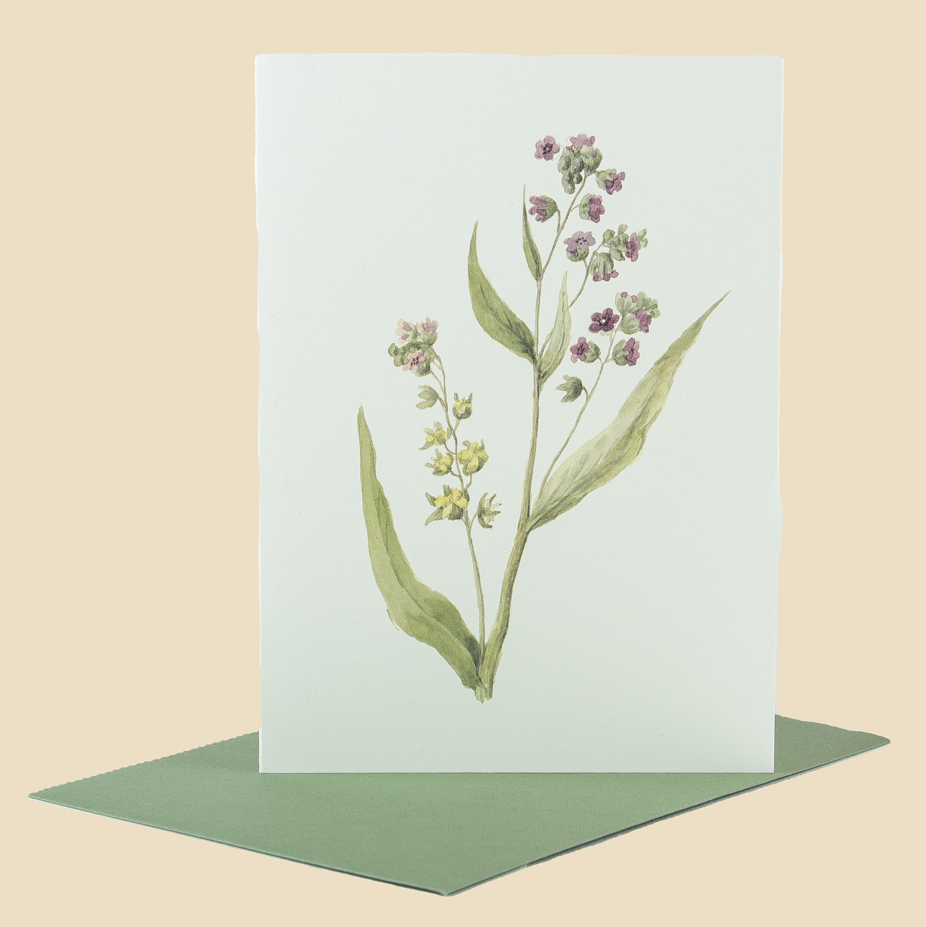 Sophia Davenport - Wholesale Everyday Greeting Card - Wildflower Greeting Cards and Notelets32