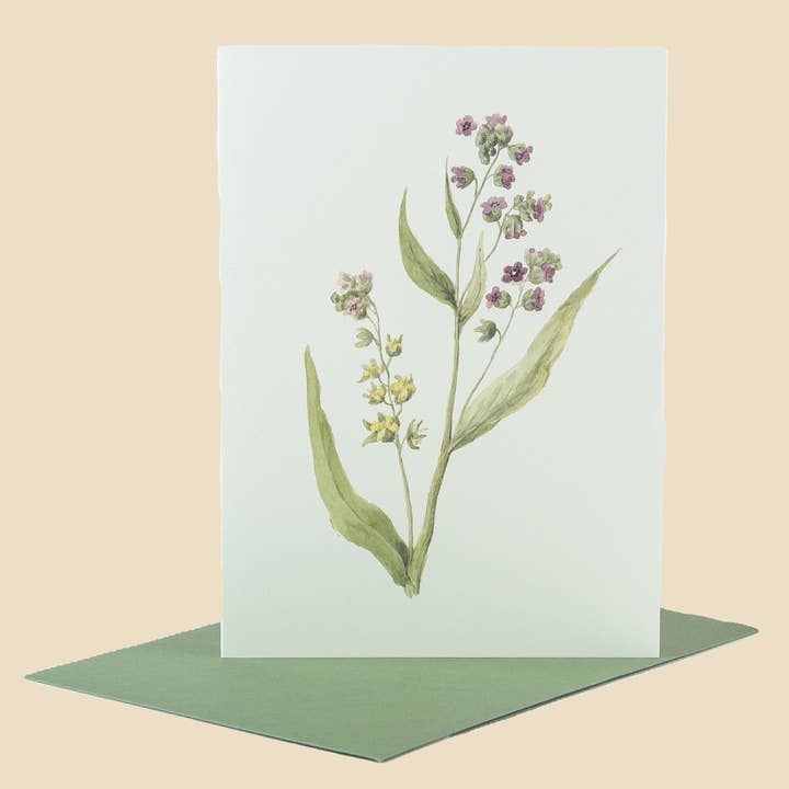 Sophia Davenport - Wholesale Everyday Greeting Card - Wildflower Greeting Cards and Notelets32