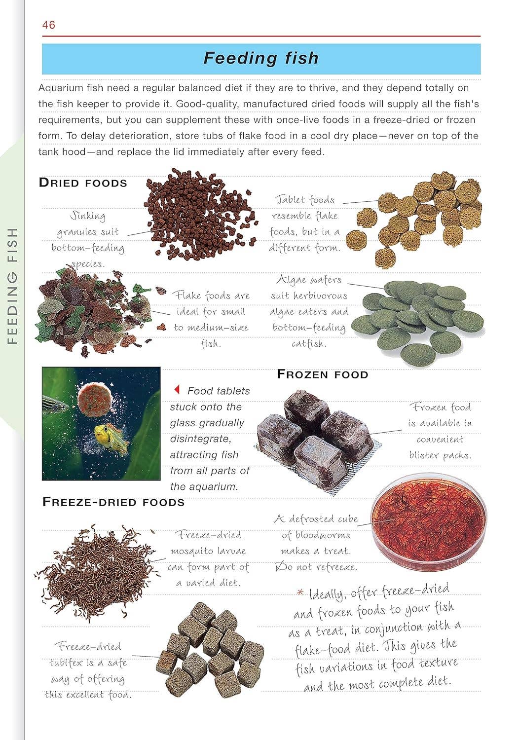 Fox Chapel Publishing - Wholesale Pets - Freshwater Aquariums - Easy-to-Read Guide Filled with Advice3