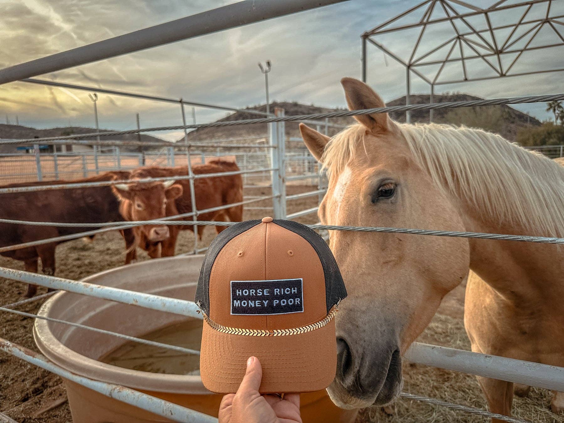 Modern Cowgirl - Wholesale Hat Accessory - Women's - Hat Chain Add On1