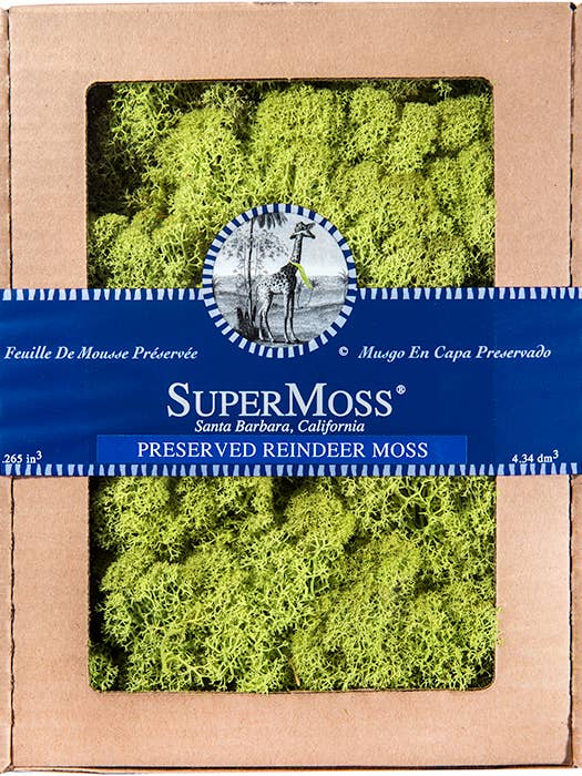 Reindeer Moss Chartreuse 4oz for wholesale by SuperMoss