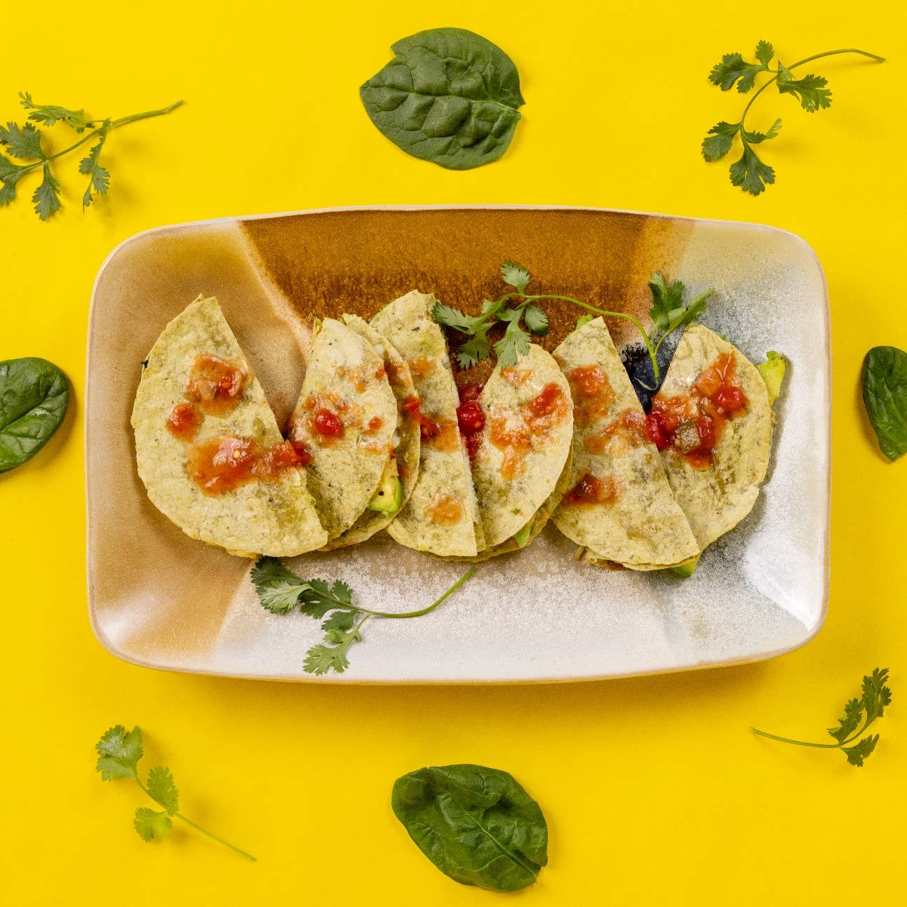 Mr. Tortilla - Wholesale Bread/Tortilla - 1 Carb Tortilla, 36 Packs (24 Tortillas per Pack)6