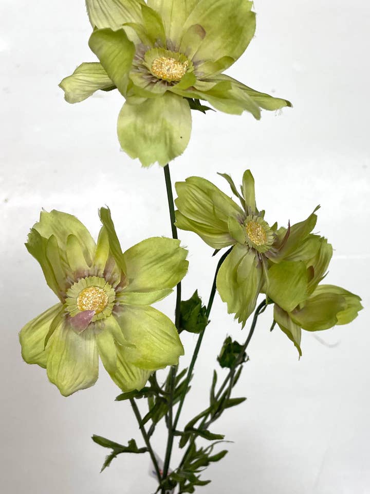 Spray Silk Cosmos - Céleri pour la vente par Cappel's Inc.