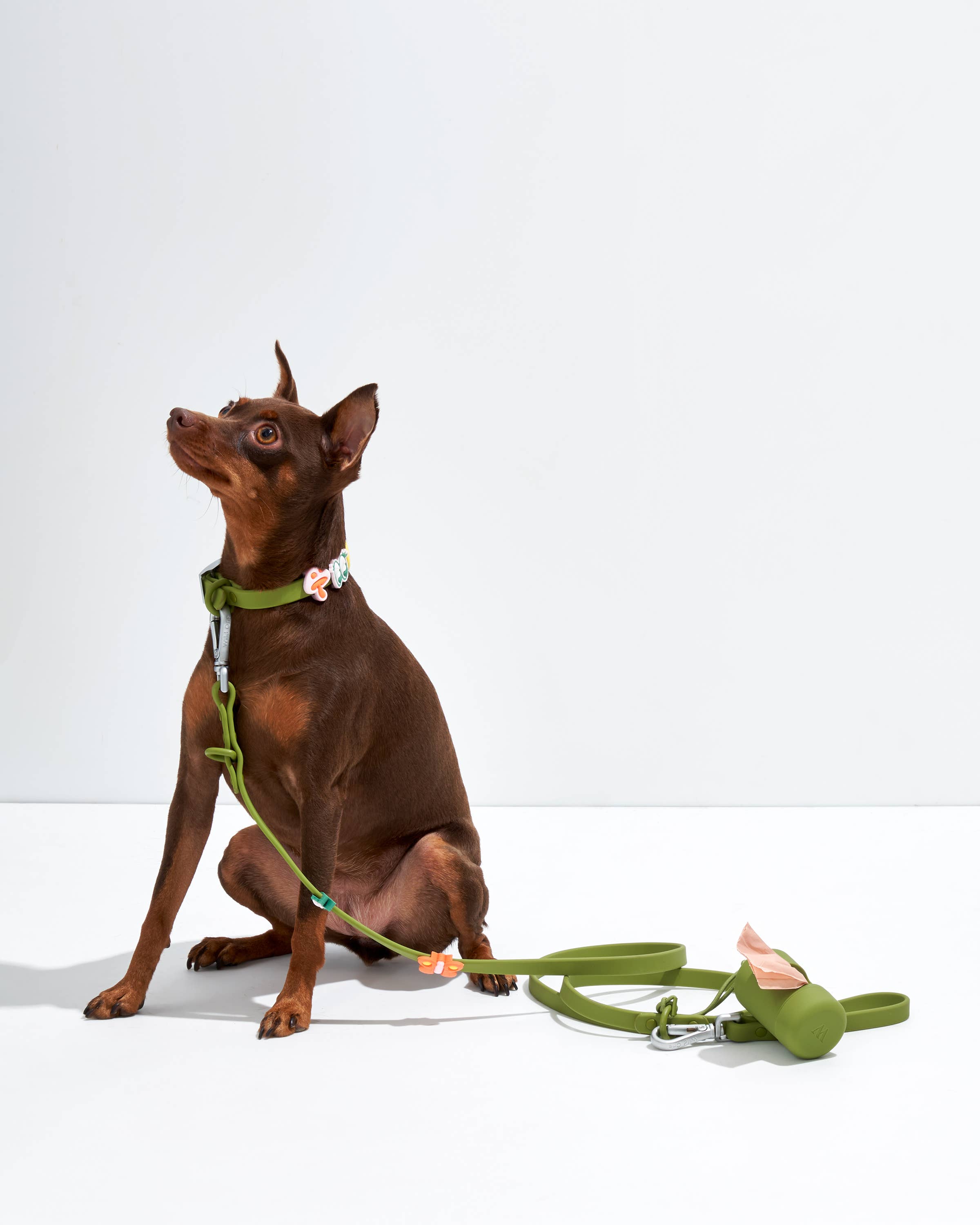 Wild One - Wholesale Pet Collar Charm - Cat/Dog - Flair Collar and Leash Charm Pack Accessories15