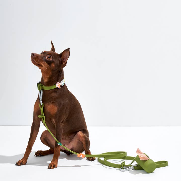 Wild One - Wholesale Pet Collar Charm - Cat/Dog - Flair Collar and Leash Charm Pack Accessories15